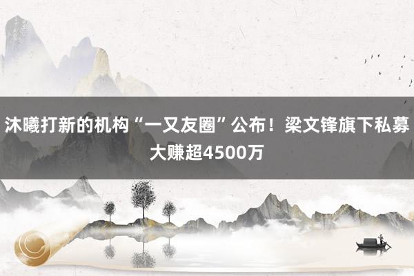 沐曦打新的机构“一又友圈”公布！梁文锋旗下私募大赚超4500万